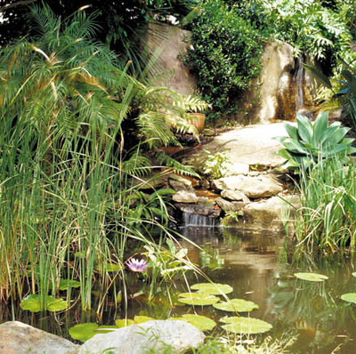 Garden Waterfall Conversion